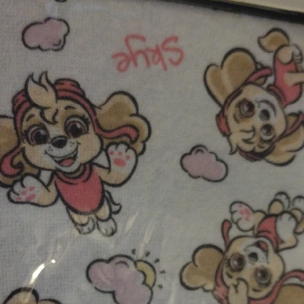 Nickelodeon Paw Patrol Skye Burp Cloth - Pink and White